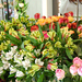 Svatebn� floristika