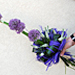 �ezan� kv�tiny
