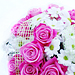 �ezan� kv�tiny