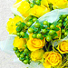 �ezan� kv�tiny