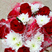 �ezan� kv�tiny
