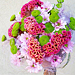 �ezan� kv�tiny