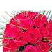 �ezan� kv�tiny