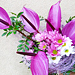 �ezan� kv�tiny