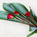 �ezan� kv�tiny