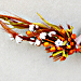 �ezan� kv�tiny