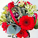 �ezan� kv�tiny