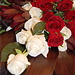Smute�n� floristika
