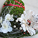 Smute�n� floristika