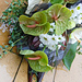 Smute�n� floristika