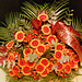 Smute�n� floristika