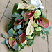Smute�n� floristika