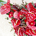 Smute�n� floristika