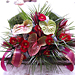Smute�n� floristika