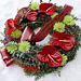 Smute�n� floristika