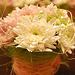 Svatebn� floristika