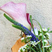 Svatebn� floristika