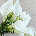 Svatebn� floristika