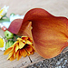 Svatebn� floristika