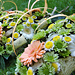 Svatebn� floristika