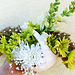 Svatebn� floristika